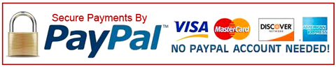 PayPal Logo